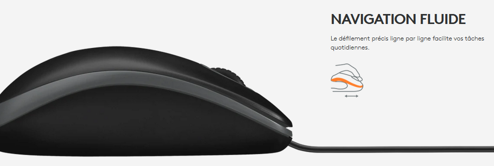 Souris Logitech B100 Optical USB Mouse